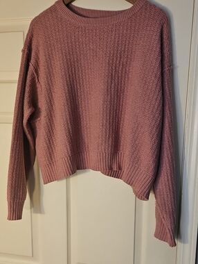 Haute Hippie Pink Sweater